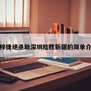 沈梓捷绝杀助深圳险胜新疆的简单介绍